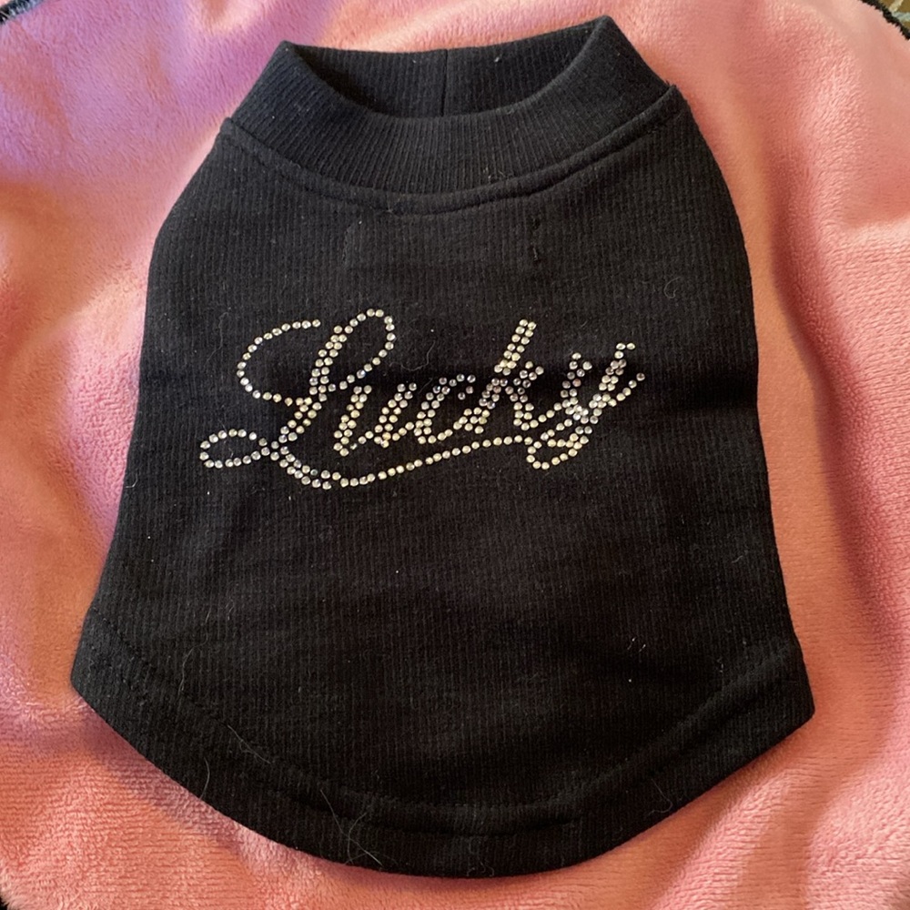 ! Dog Vipoochy Top Lucky size XXS black silver light pretty new Attention!!check